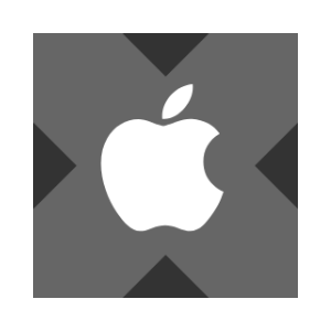 Apple tokenized stock (xStock)
