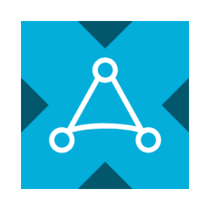 AppLovin tokenized stock (xStock)