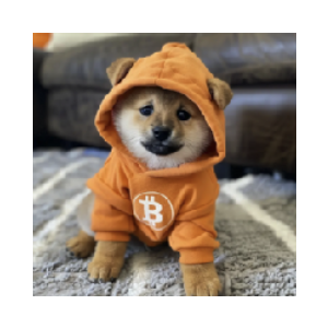 Dog (Bitcoin)