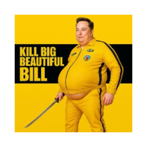 KILL BIG BEAUTIFUL BILL