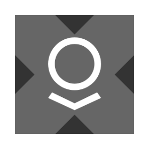 Palantir tokenized stock (xStock)