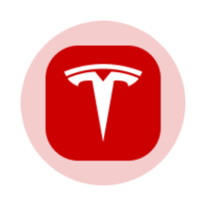 Tesla Tokenized Stock (Ondo)