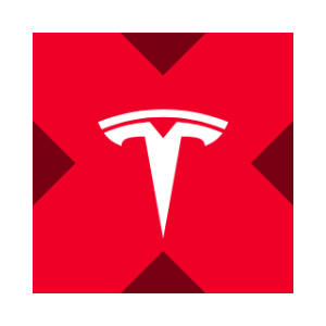 Tesla tokenized stock (xStock)