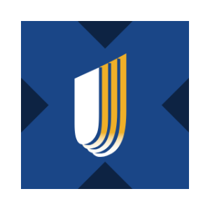 UnitedHealth tokenized stock (xStock)