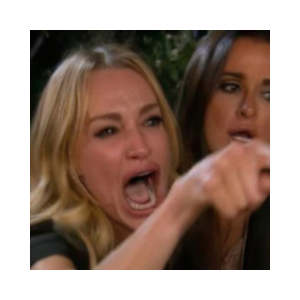 Woman Yelling At Cat